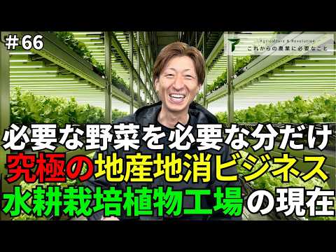 水耕栽培の動画サムネイル