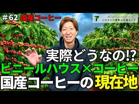 国産コーヒーの動画サムネイル